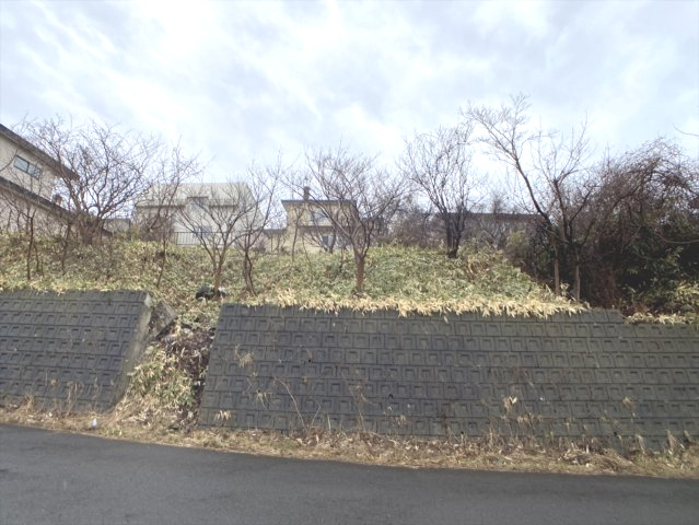 室蘭市絵鞆町2丁目20-3　土地の土地図