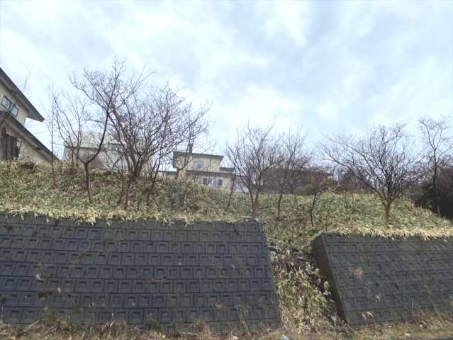 室蘭市絵鞆町2丁目20-3　土地の土地図