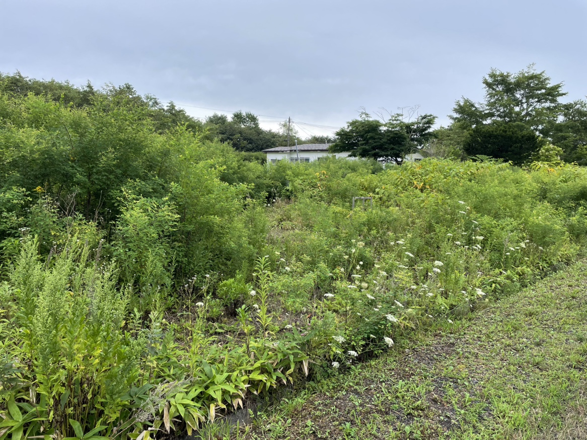白老町字虎杖浜8-45　土地の土地図
