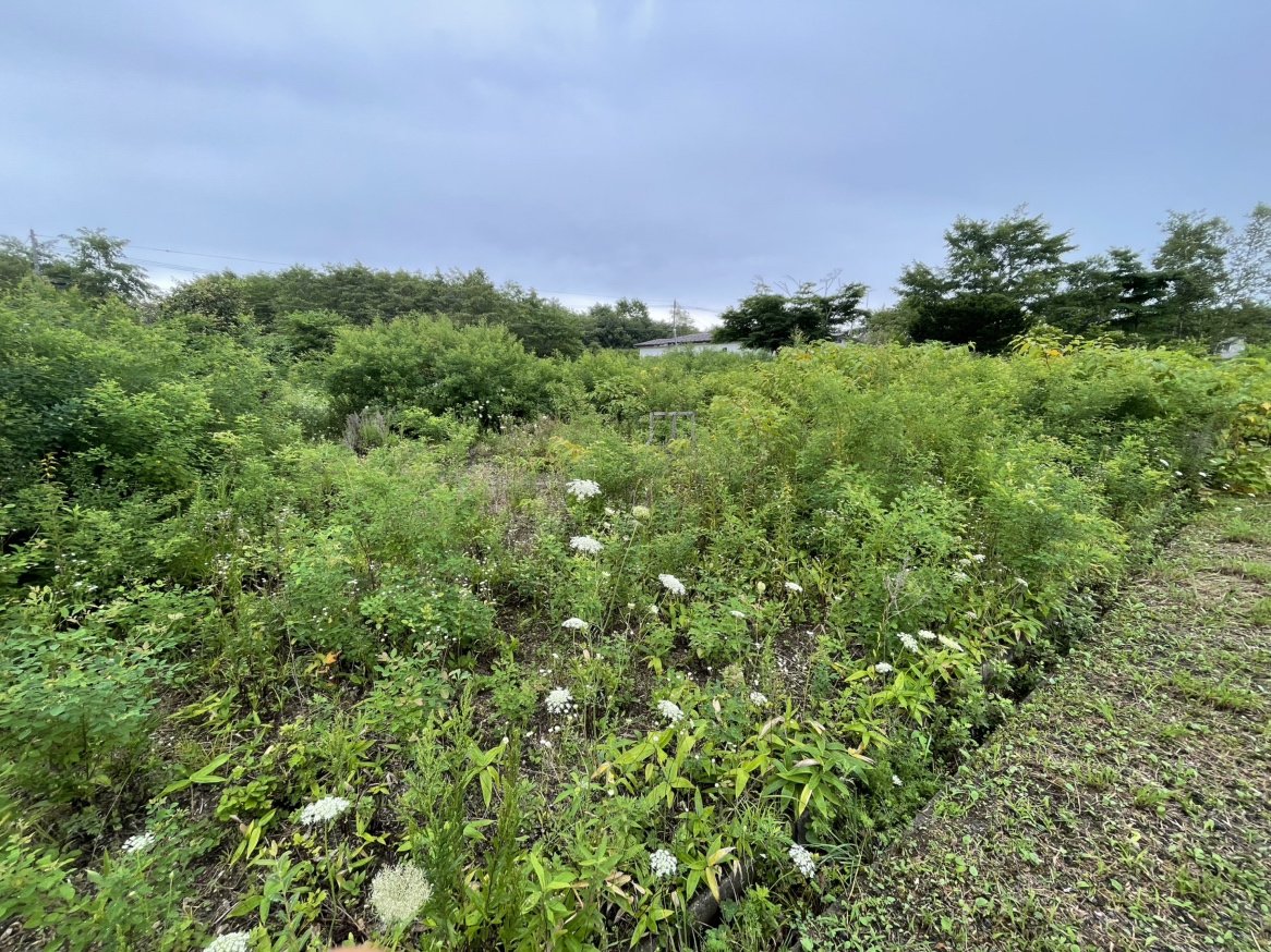 白老町字虎杖浜8-45　土地の土地図