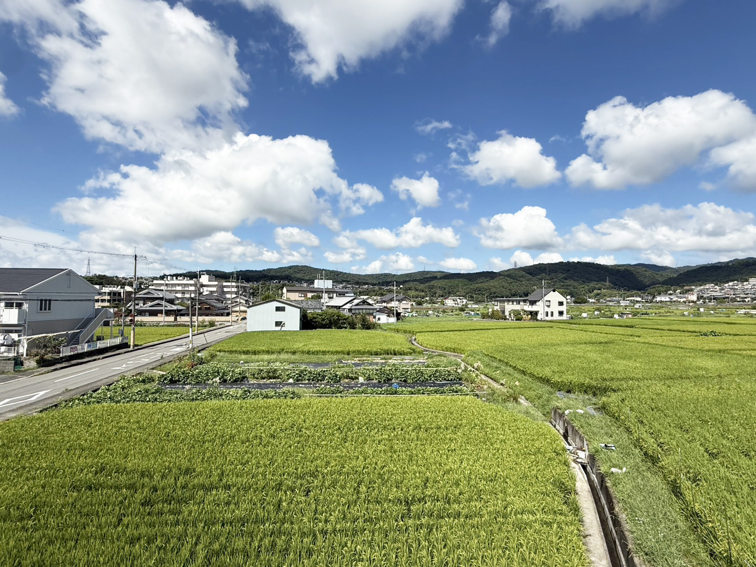 高槻市宮之川原元町戸建の展望|２階バルコニーからの西側の眺望です。（２０２６年９月現在）