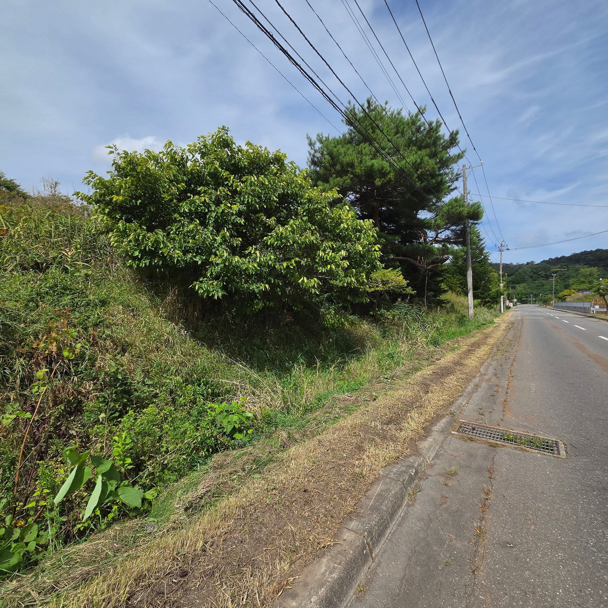 虻田郡洞爺湖町泉　土地の土地図
