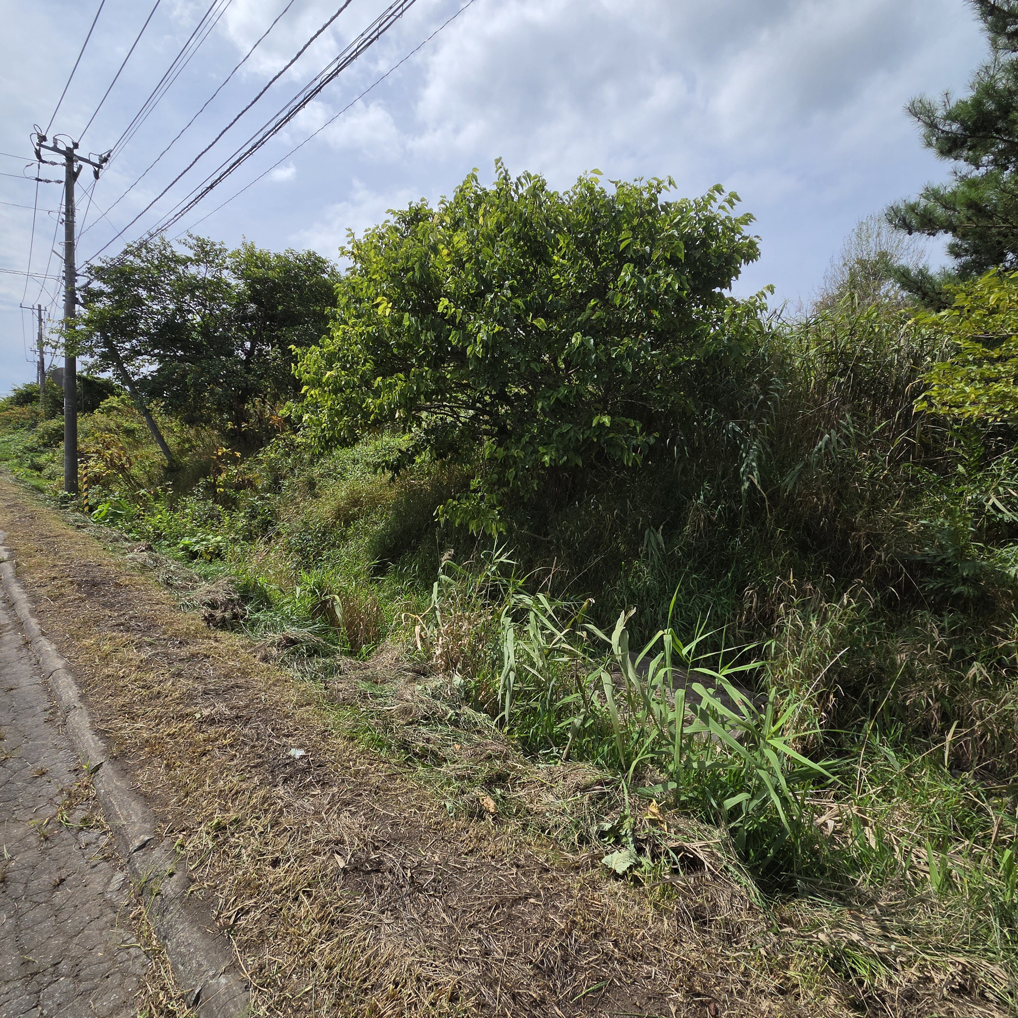 虻田郡洞爺湖町泉　土地の土地図