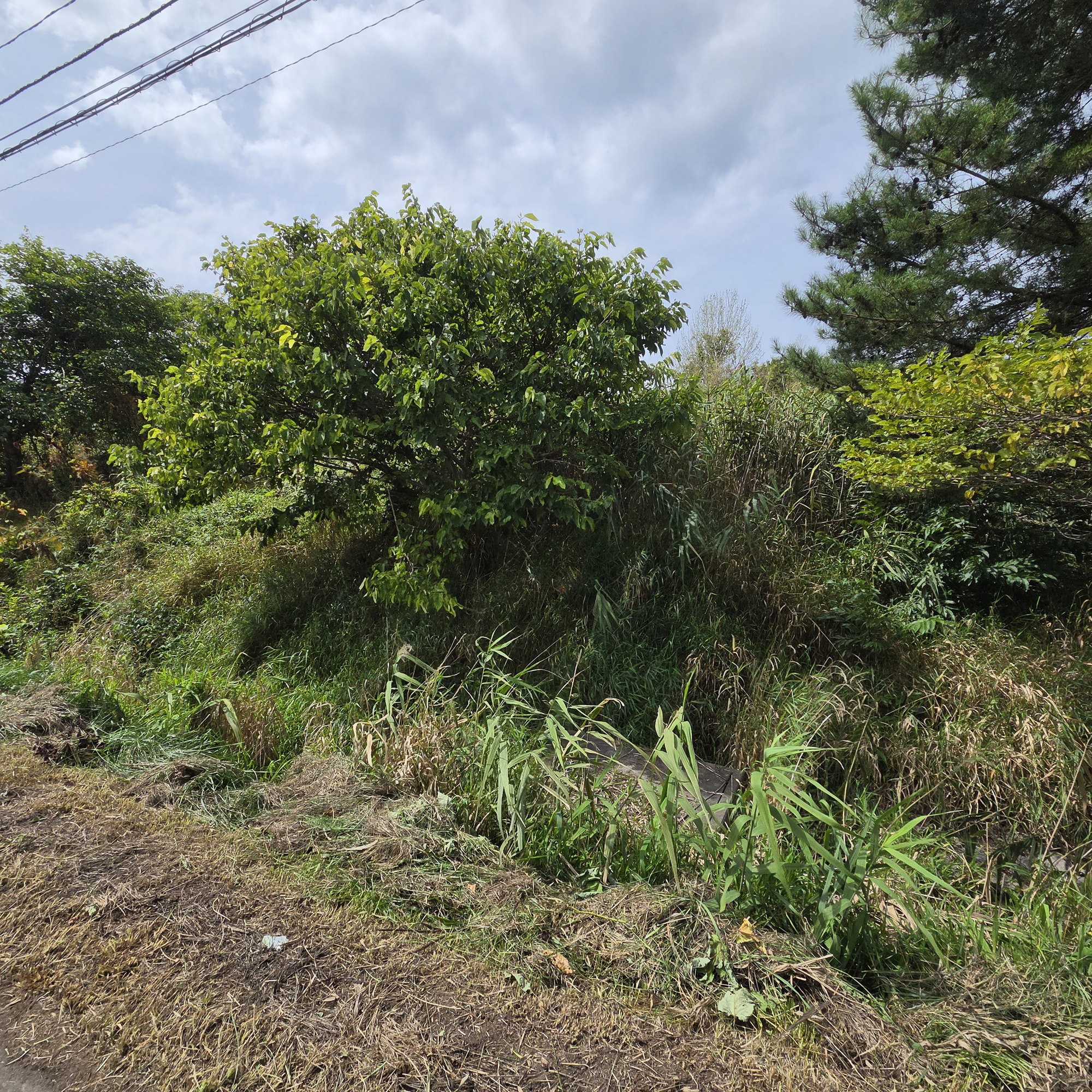 虻田郡洞爺湖町泉　土地の土地図