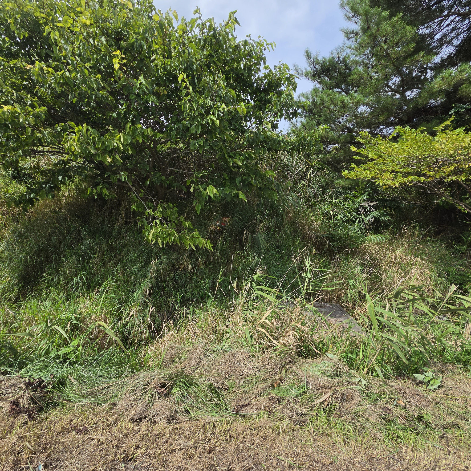 虻田郡洞爺湖町泉　土地の土地図