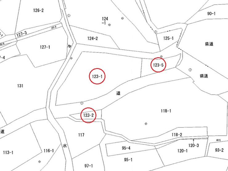 埼玉県児玉郡神川町矢納123　土地　公図