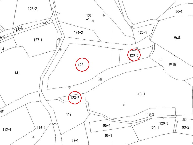 埼玉県児玉郡神川町矢納123　土地　公図