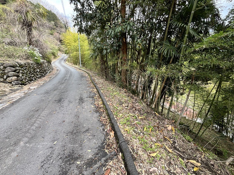 埼玉県児玉郡神川町矢納123　前面道路