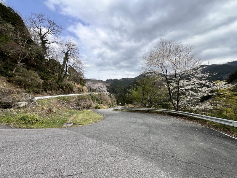 埼玉県児玉郡神川町矢納123　現地手前の道路からの景色（4月撮影）
