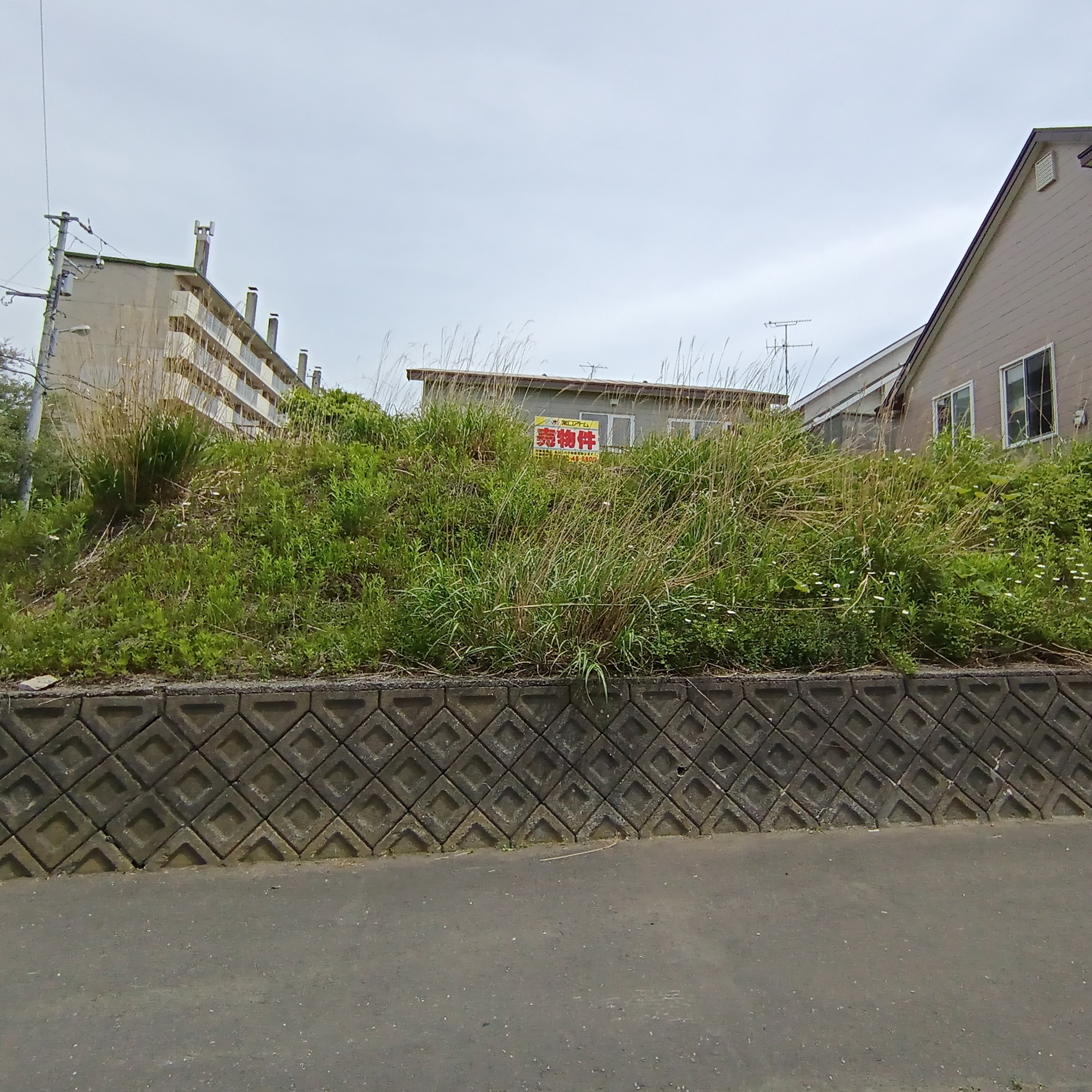 室蘭市白鳥台4丁目19-44　土地の土地図