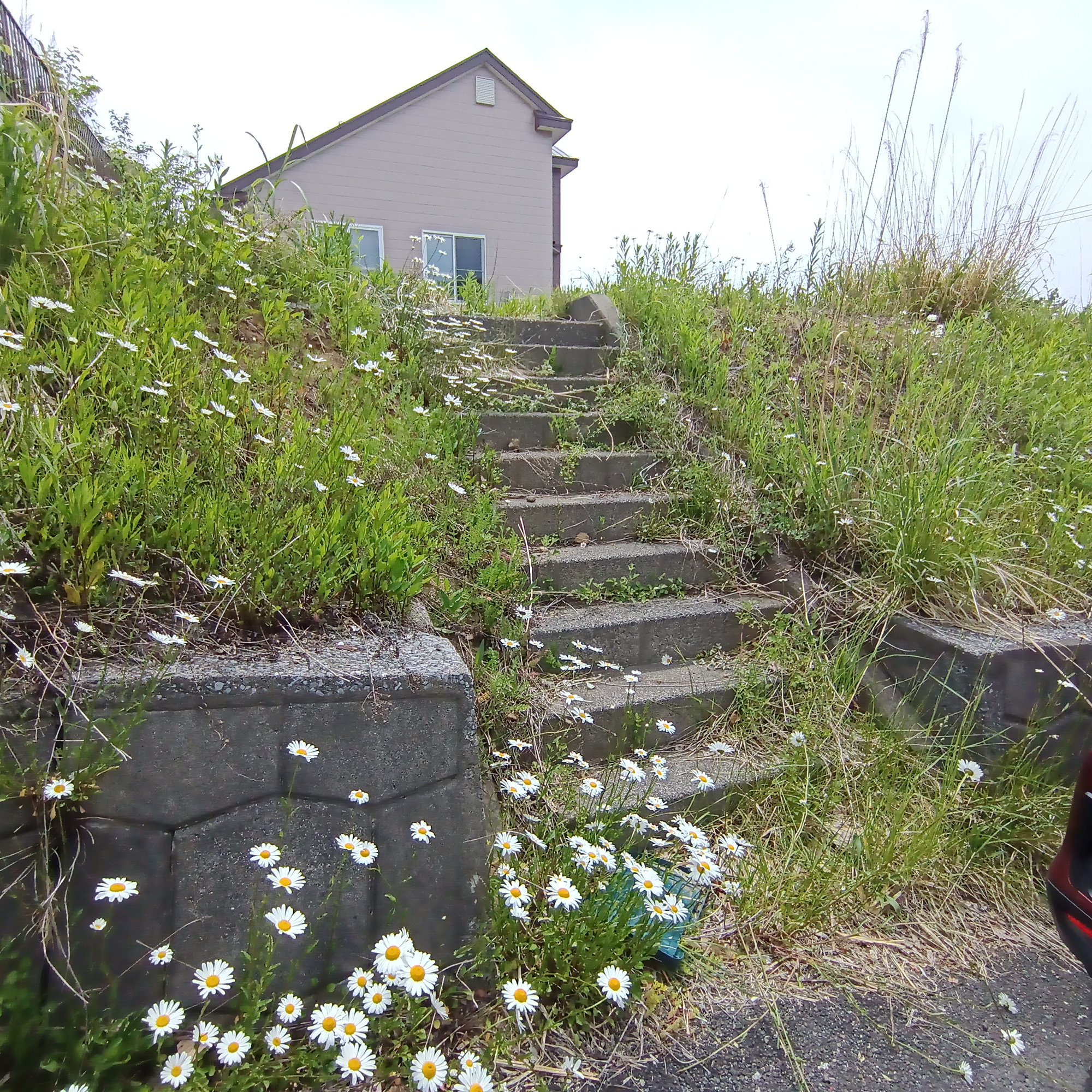 室蘭市白鳥台4丁目19-44　土地のその他