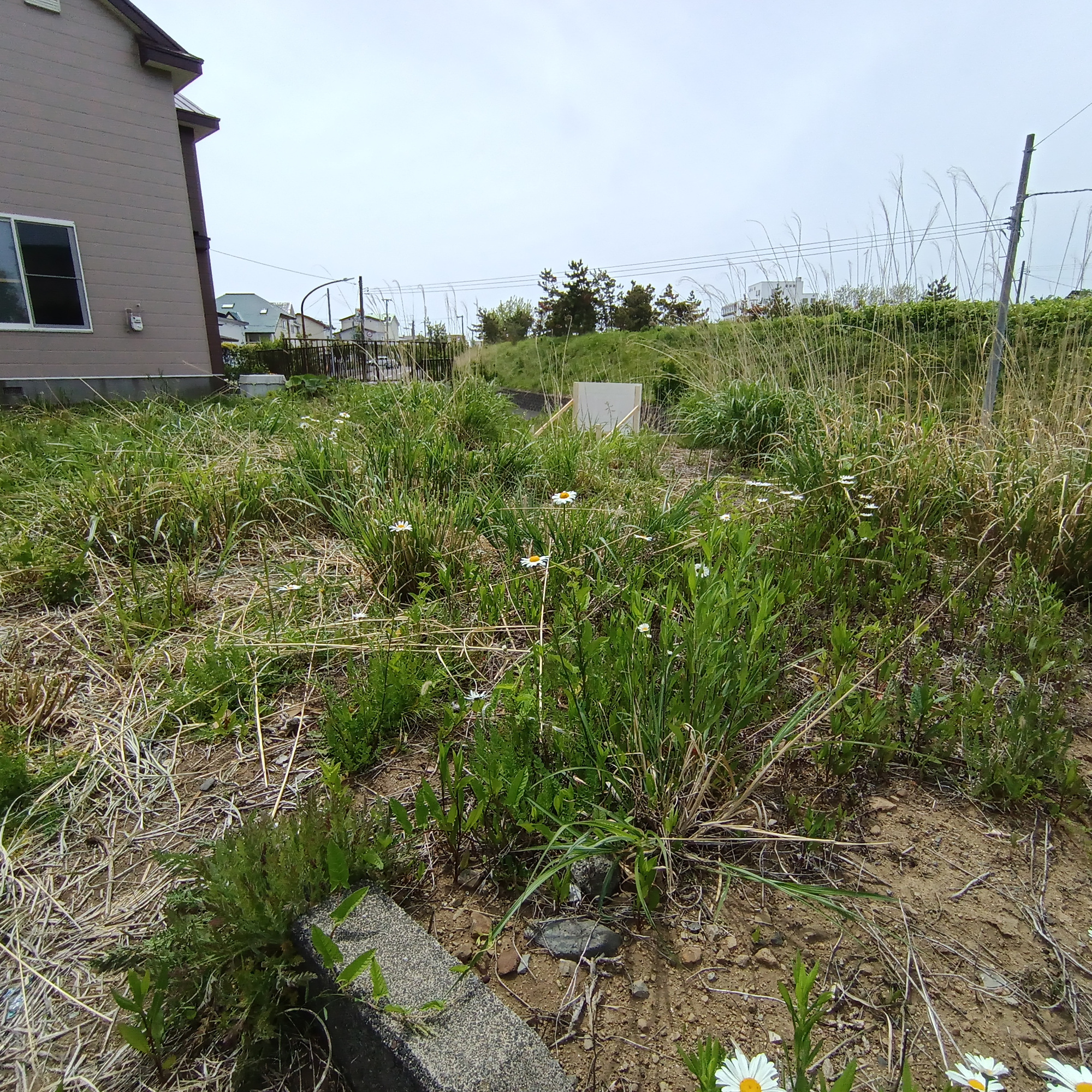 室蘭市白鳥台4丁目19-44　土地のその他
