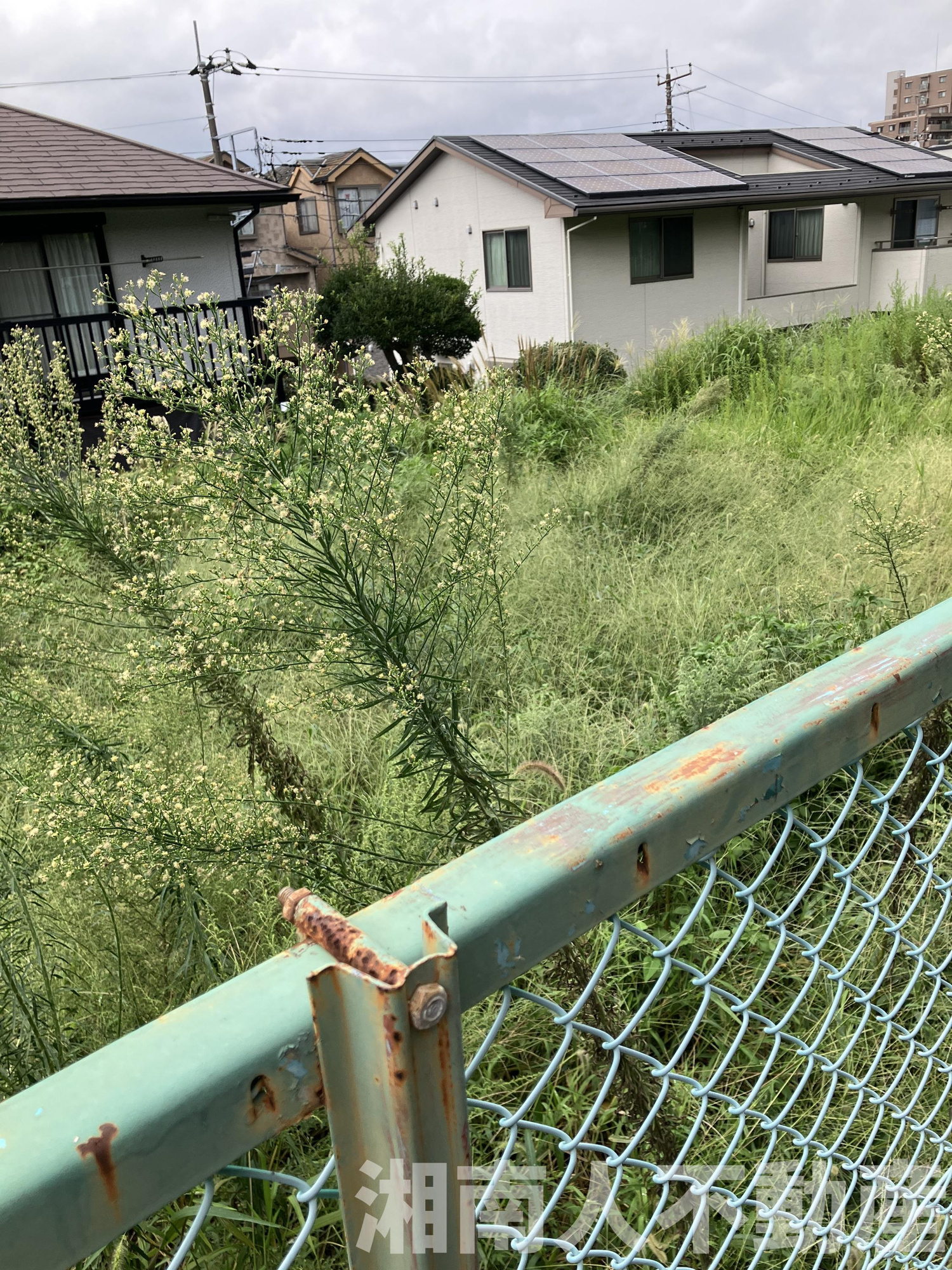 横浜市栄区笠間2丁目１９－９付近売地の外観|外観です