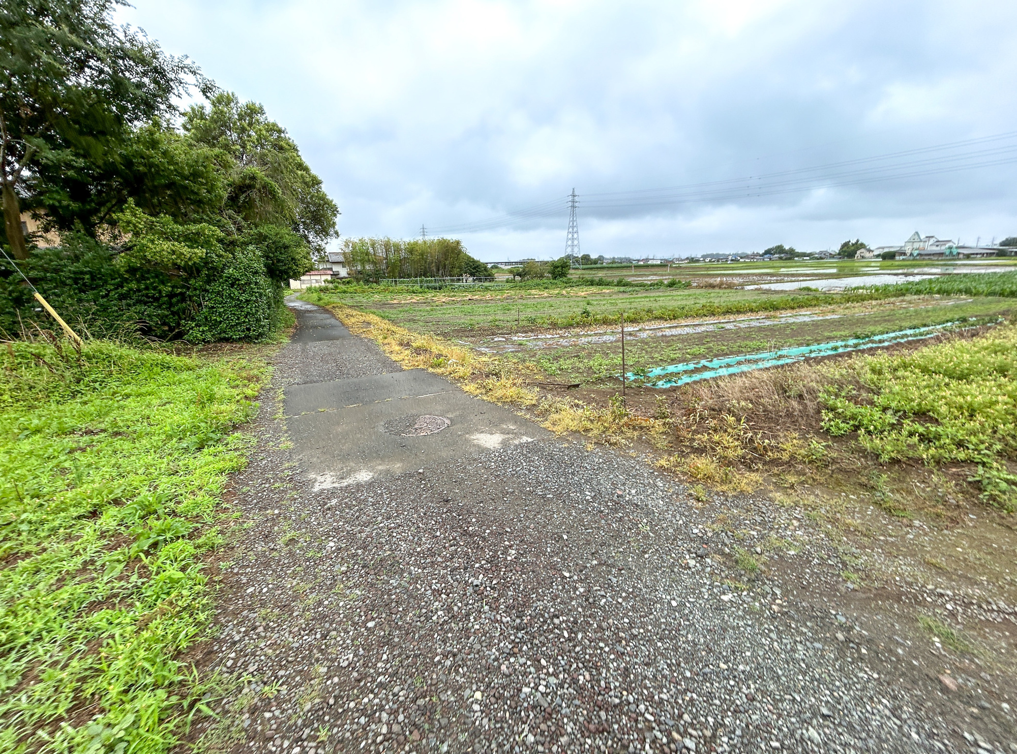 前橋市西大室町　土地の前面道路含む現地写真|低層の一戸建てを中心とした街並みが整然と続き、周辺は高い建物が建っていないので、採光や開放性に恵まれ、空が広く緑の多い閑静な趣を感じる環境です。