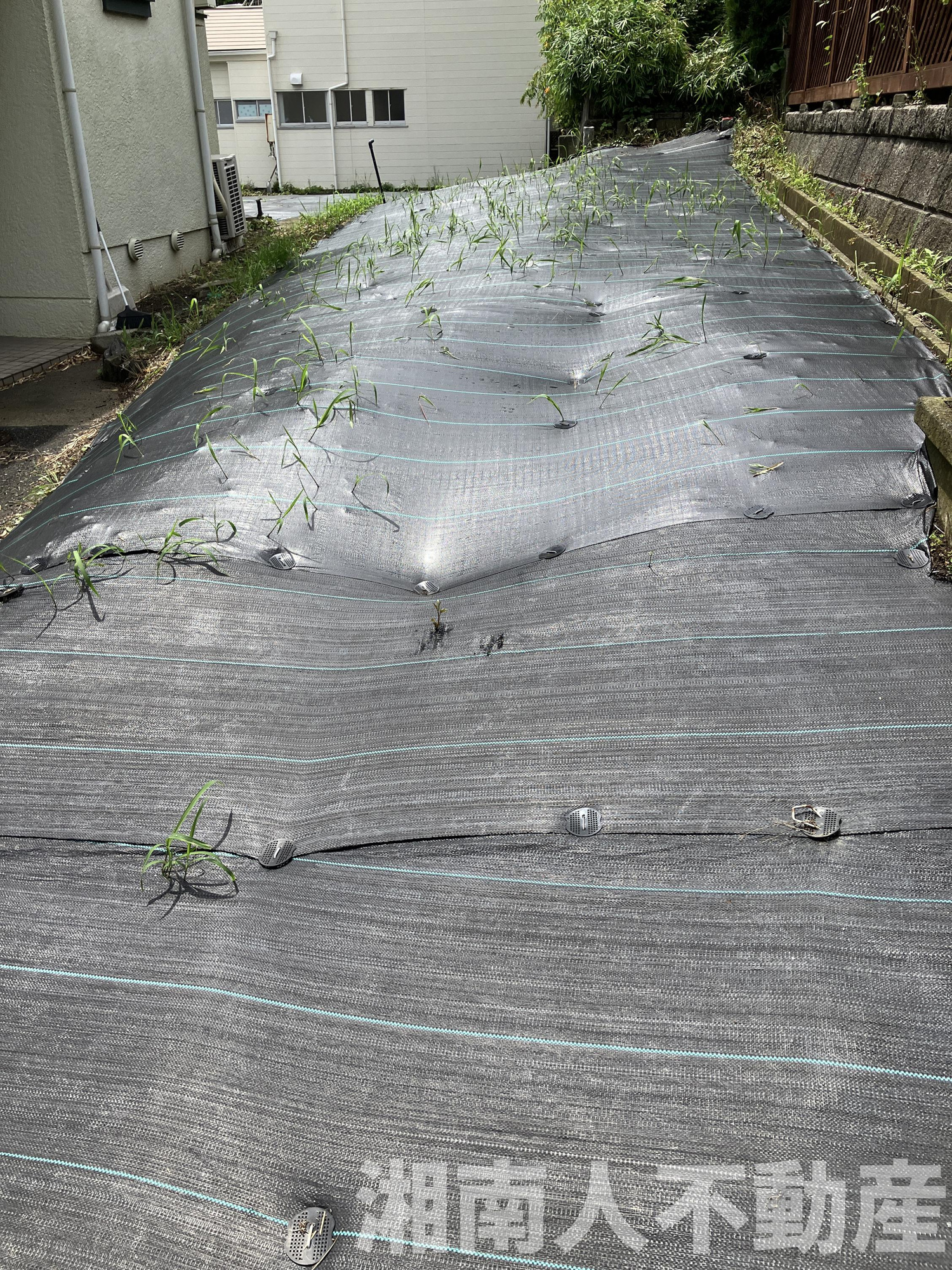 横浜市栄区小菅ヶ谷２丁目１２５１－３売地の外観|外観です