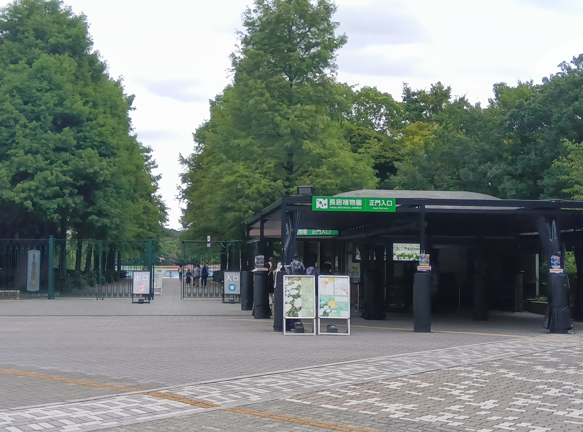 エクシオ長居公園の周辺|長居植物園徒歩約14分