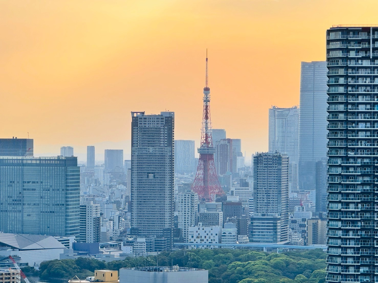 晴海アイランドトリトンスクエアビュータワーの展望