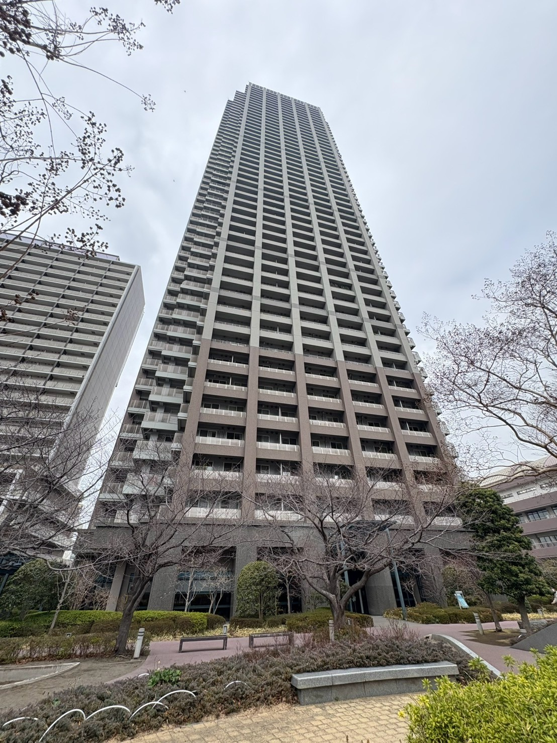 晴海アイランドトリトンスクエアビュータワーの外観
