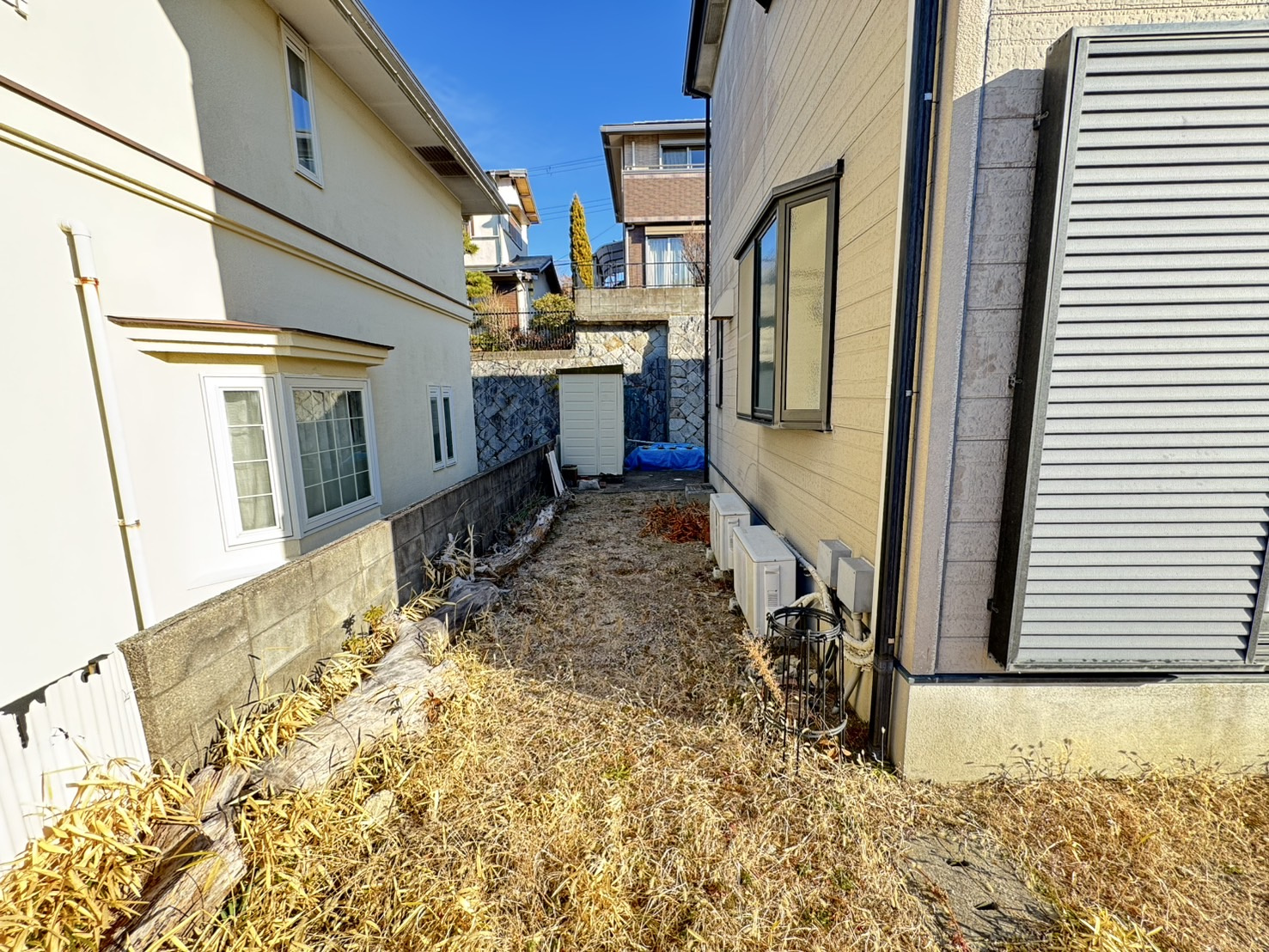 星和台2丁目戸建の庭