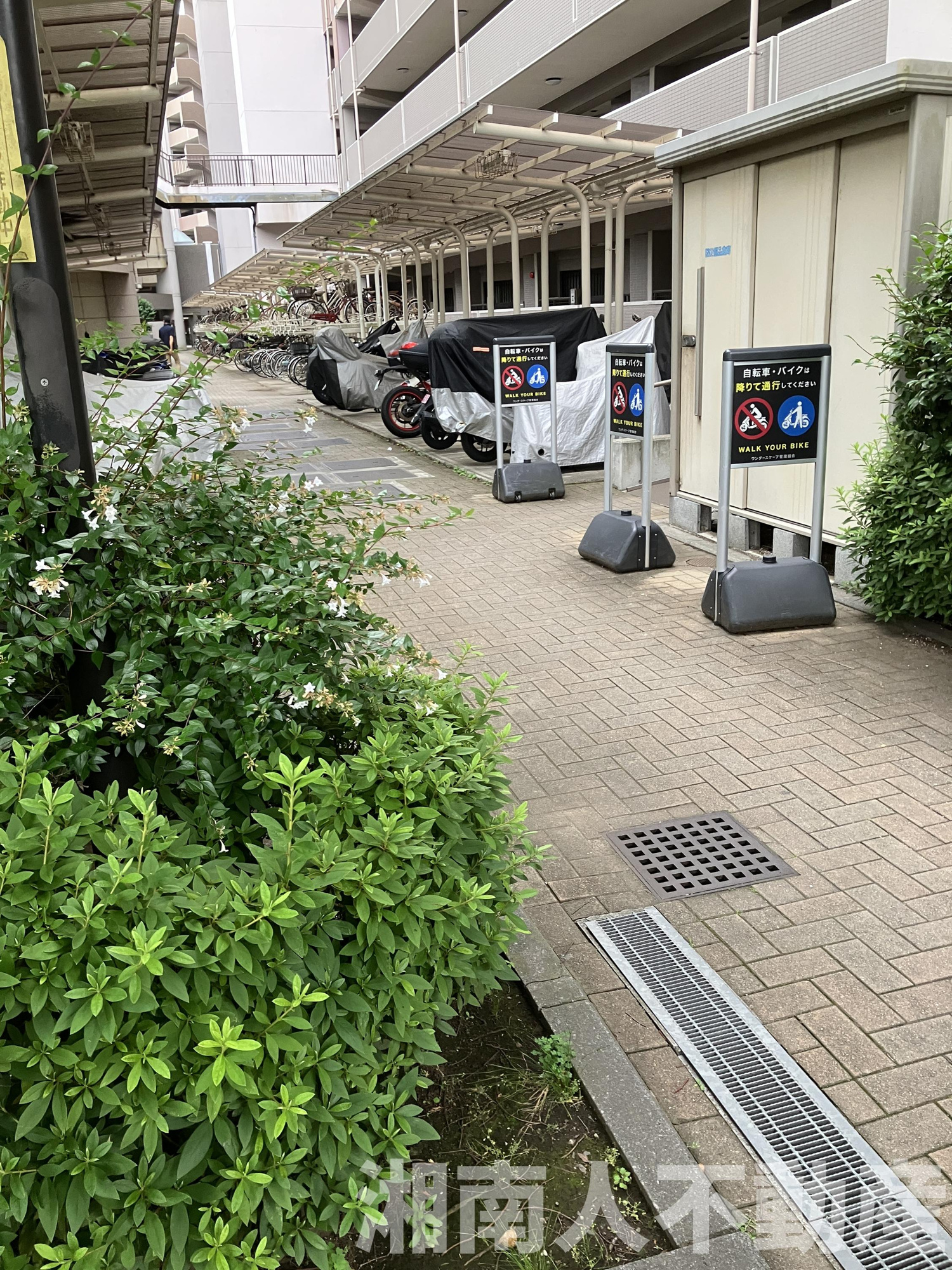 ダイアパレスワンダースケープの駐輪場