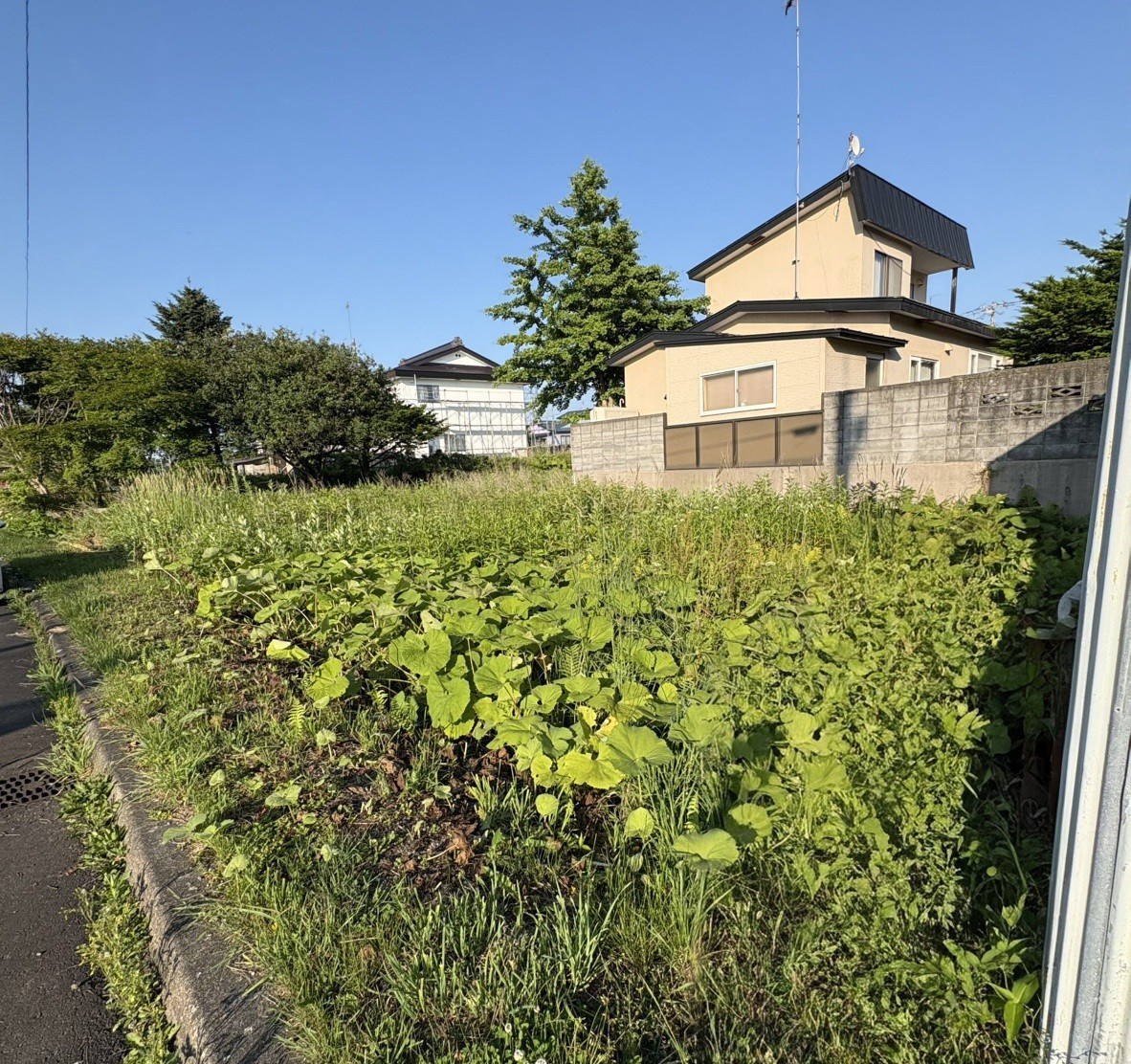 白老郡白老町字北吉原168-64　土地の土地図