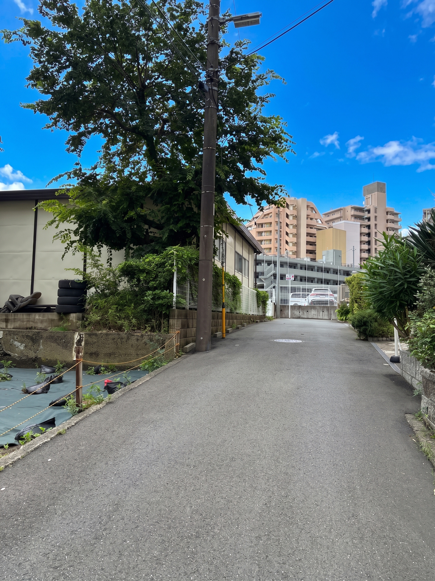 【前面道路含む現地写真】