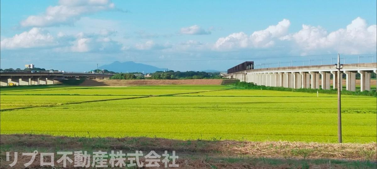 柏市小青田4丁目戸建の展望|正面に筑波山と田園が見渡せる眺望です！季節により花火も見ることができます♪