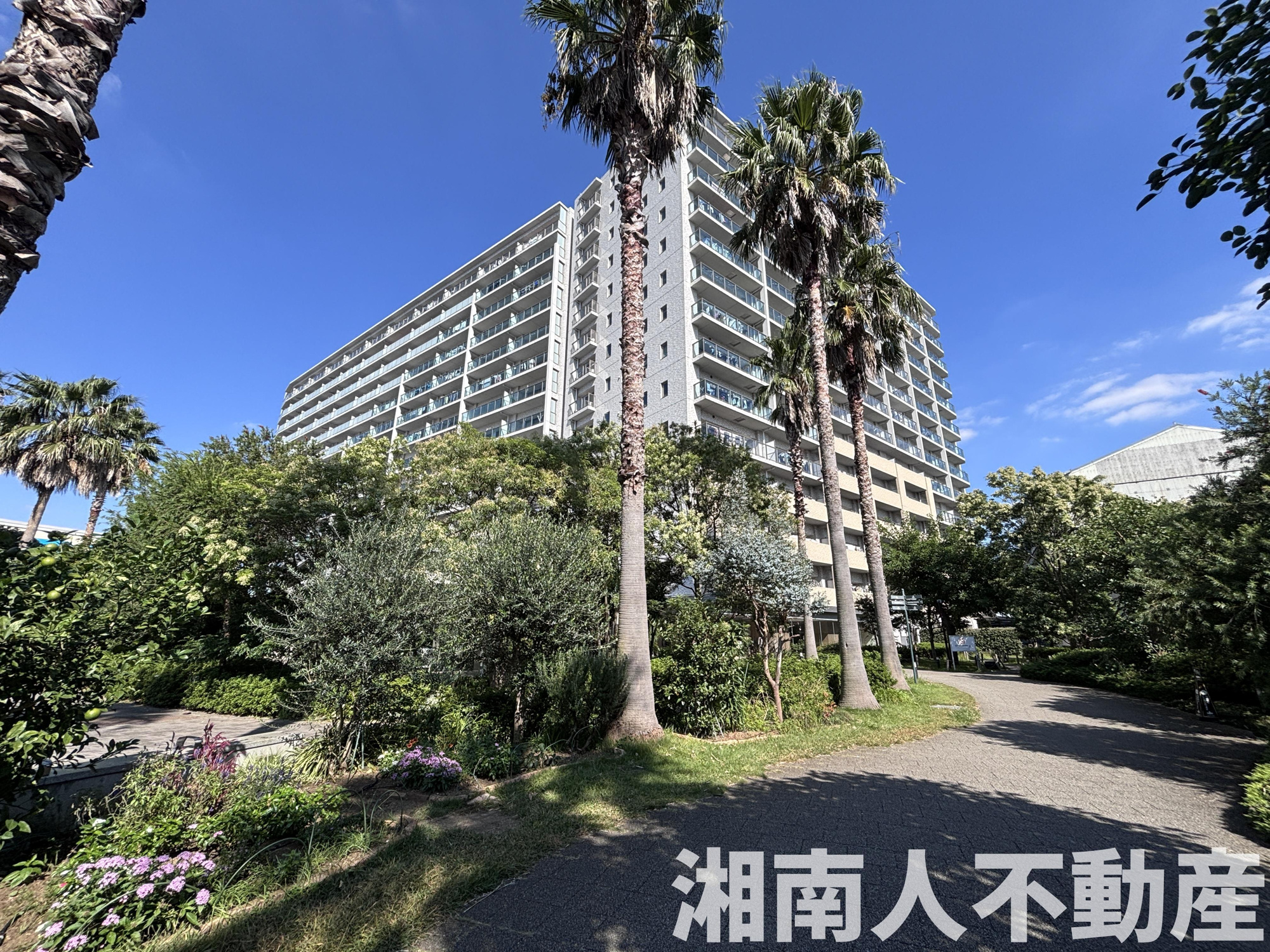 ライオンズ茅ヶ崎ザ・アイランズⅡ街区のその他