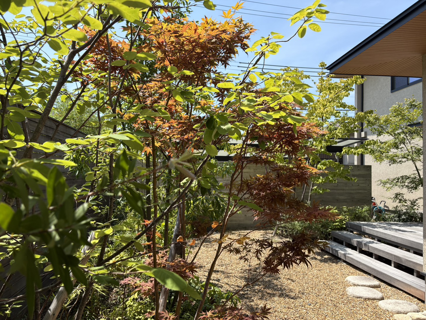 住吉東町一丁目　邸宅の庭