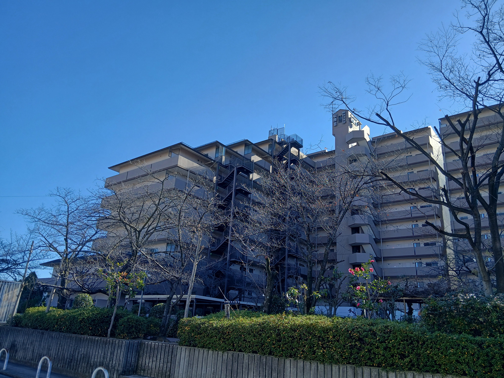 朝日プラザ松原Ⅱの外観