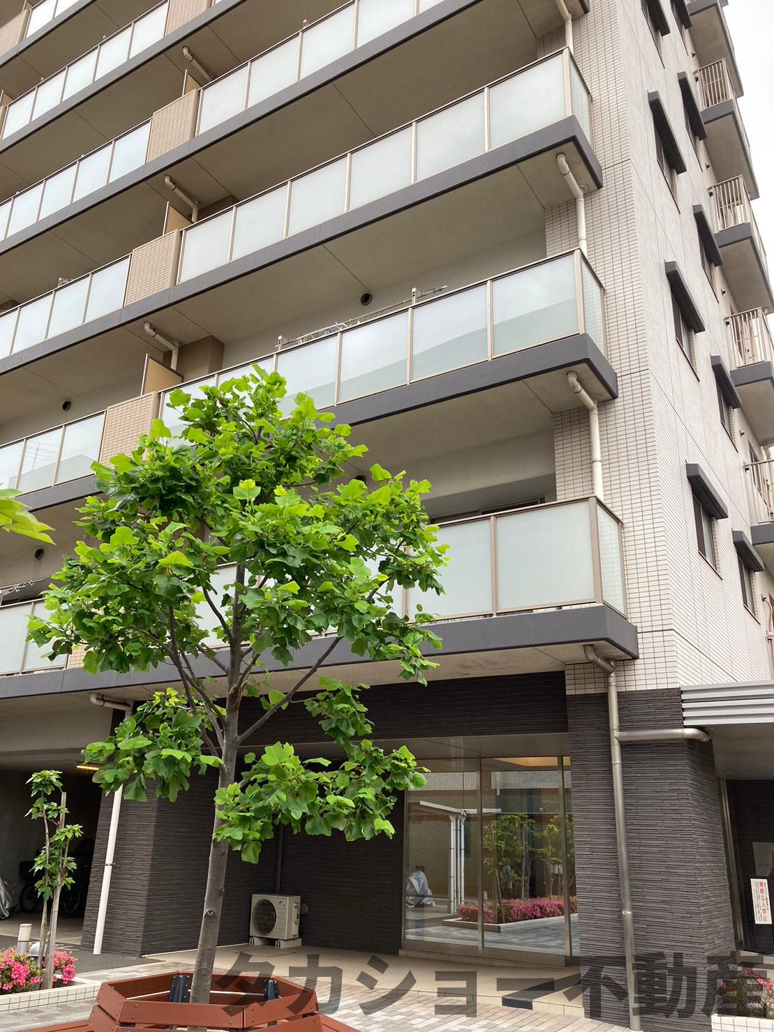 サンクレイドル千葉県庁前の外観|おしゃれな外観です