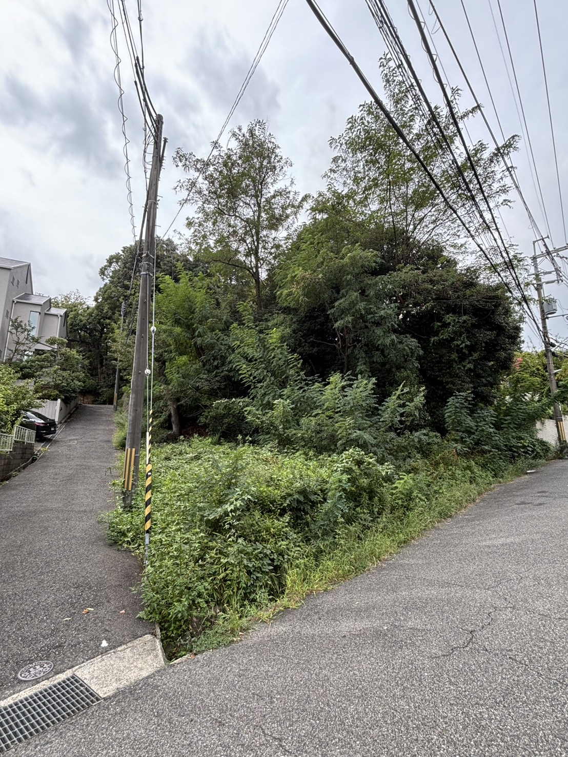 西宮市甲陽園目神山町土地の外観|北側からの写真です