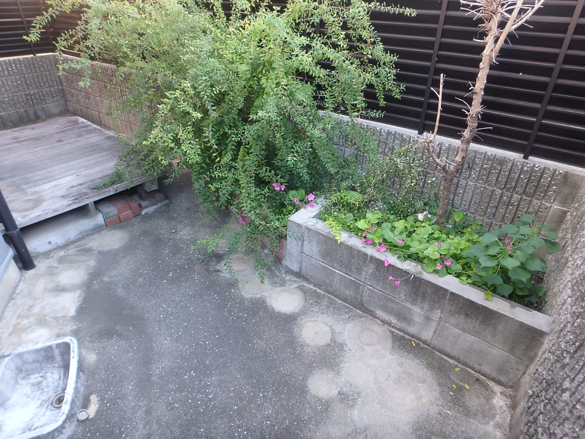 西宮市津門川町戸建の庭