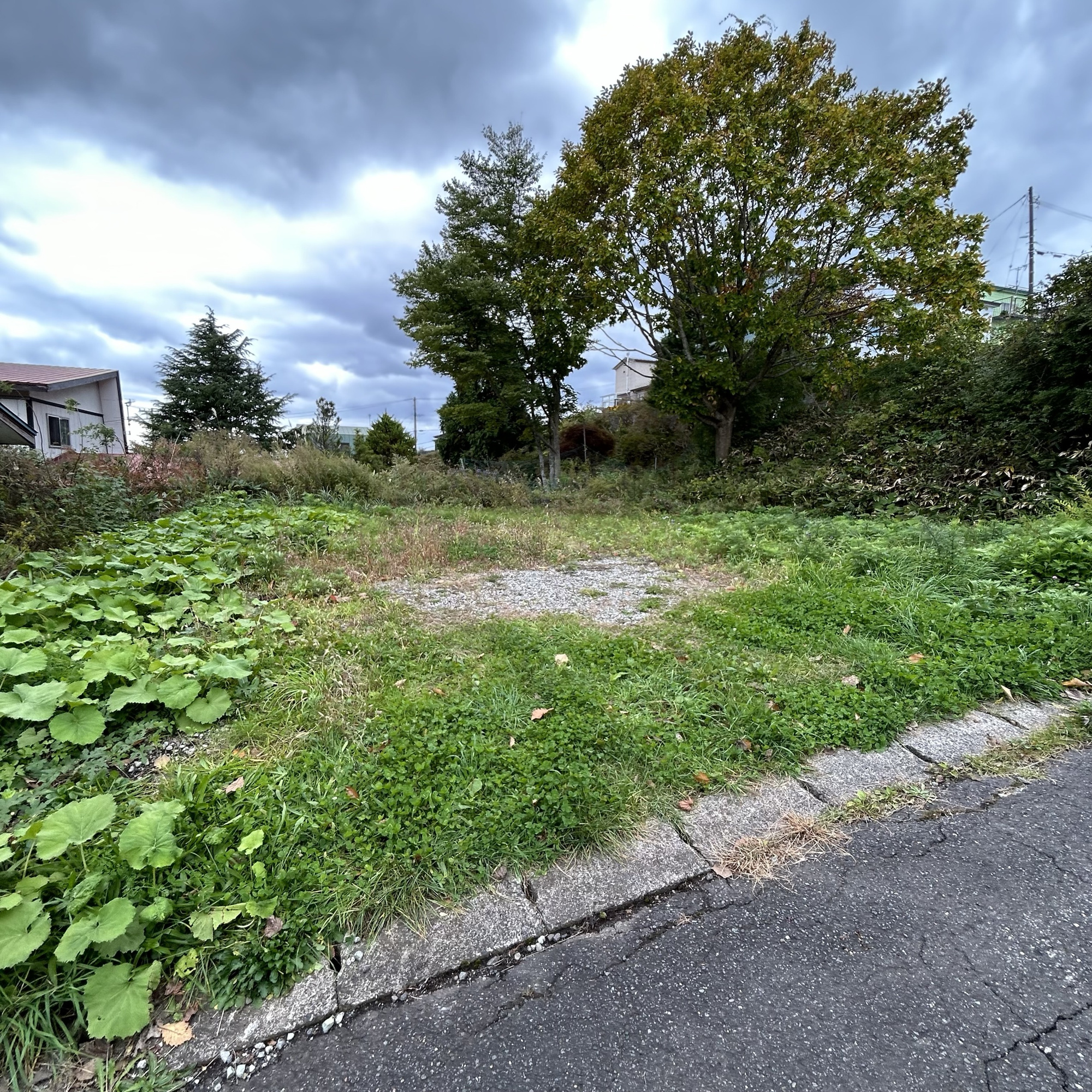 室蘭市柏木町432-41　土地の土地図