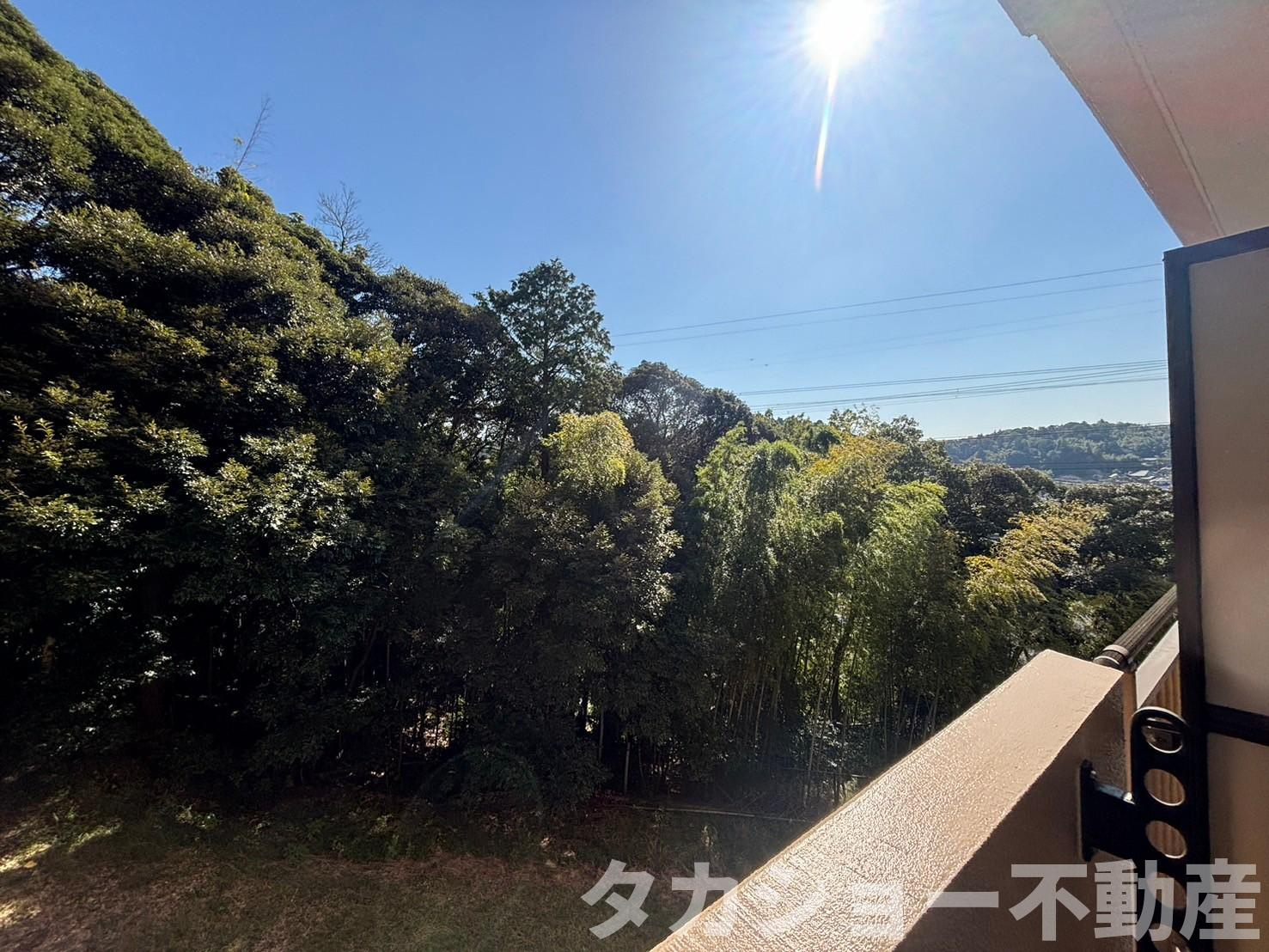 ガーデンコート姉ヶ崎参番館の展望