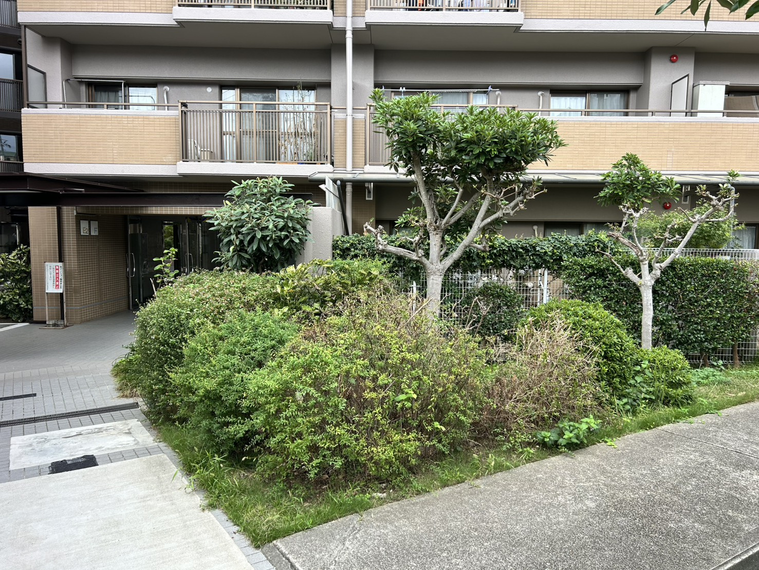 朝日プラザCITYウエストヒル神戸F棟の庭|庭