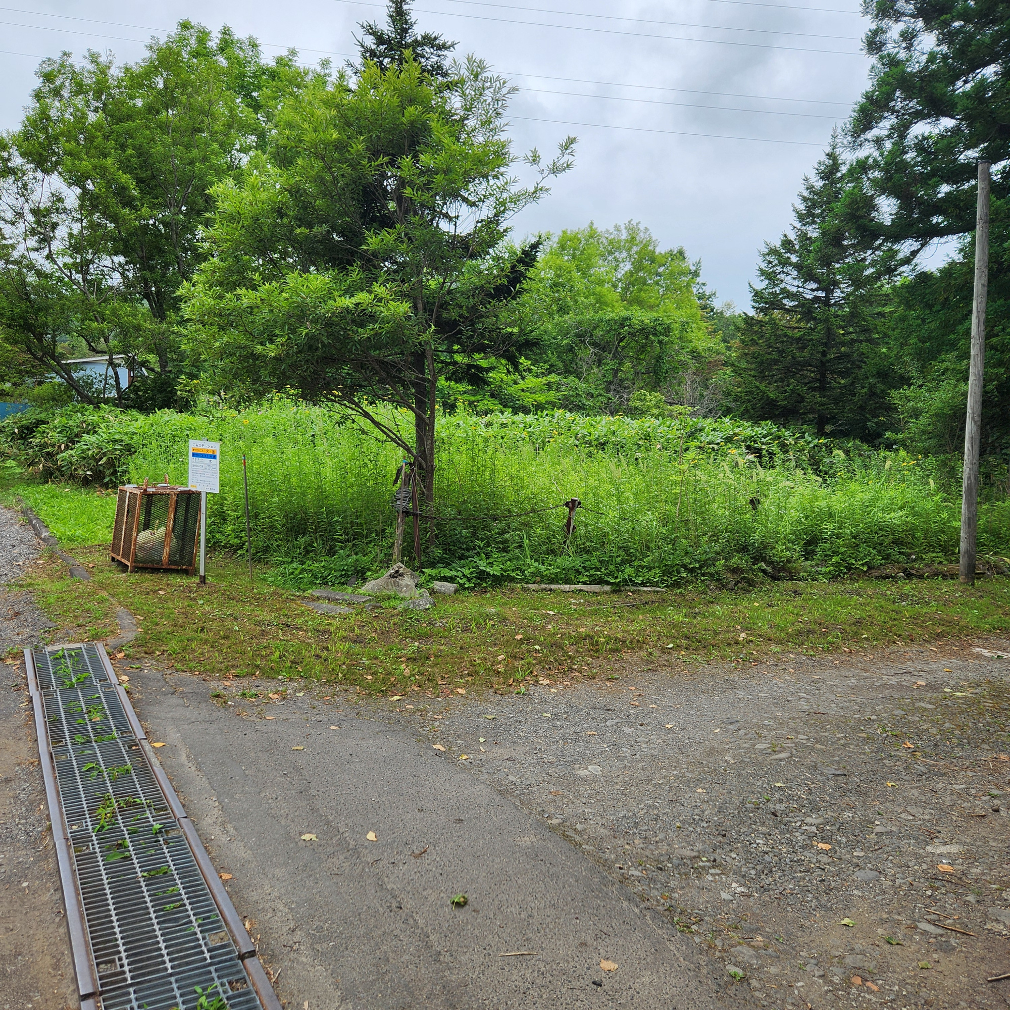 登別市富岸町92番21　土地の土地図