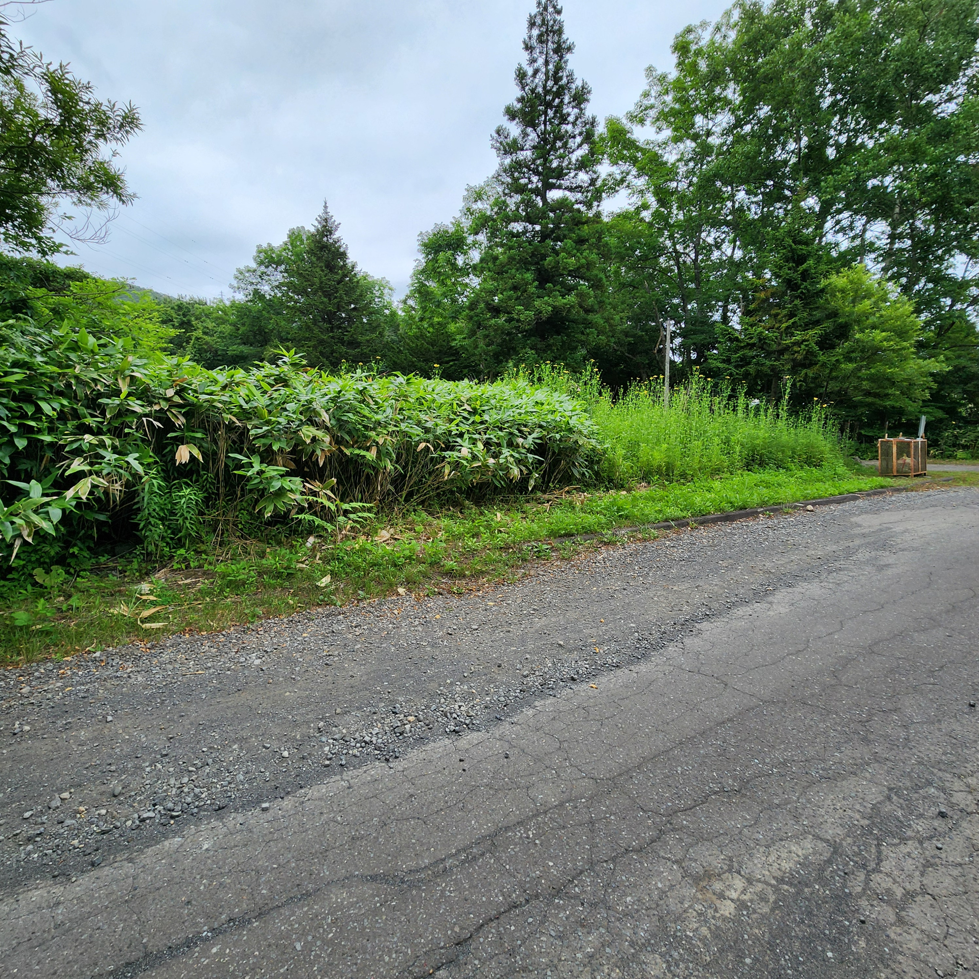 登別市富岸町92番21　土地の土地図