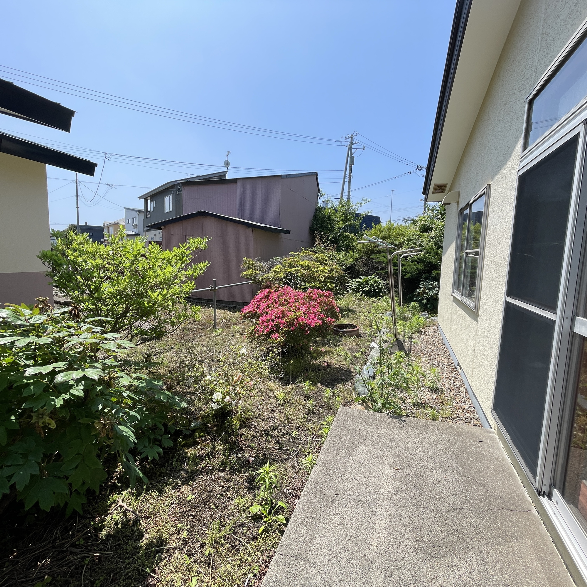 登別市富士町5丁目25-4　中古住宅の庭