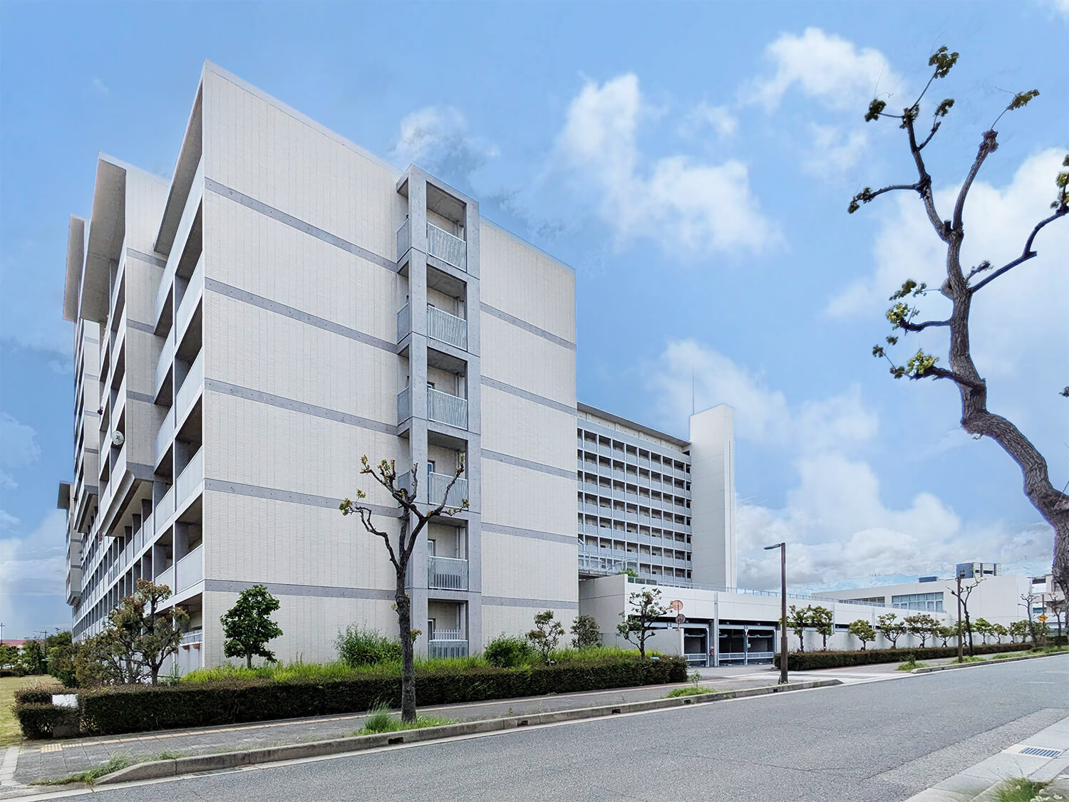 マリナージュ芦屋の外観