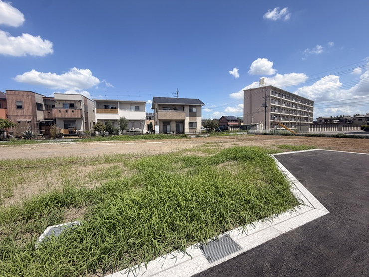 4号地◇8月7日撮影