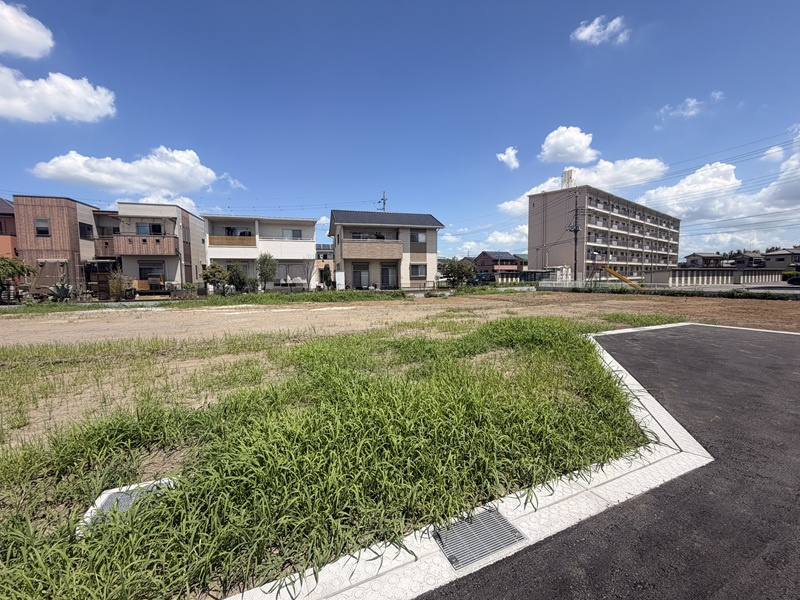 4号地◇8月7日撮影
