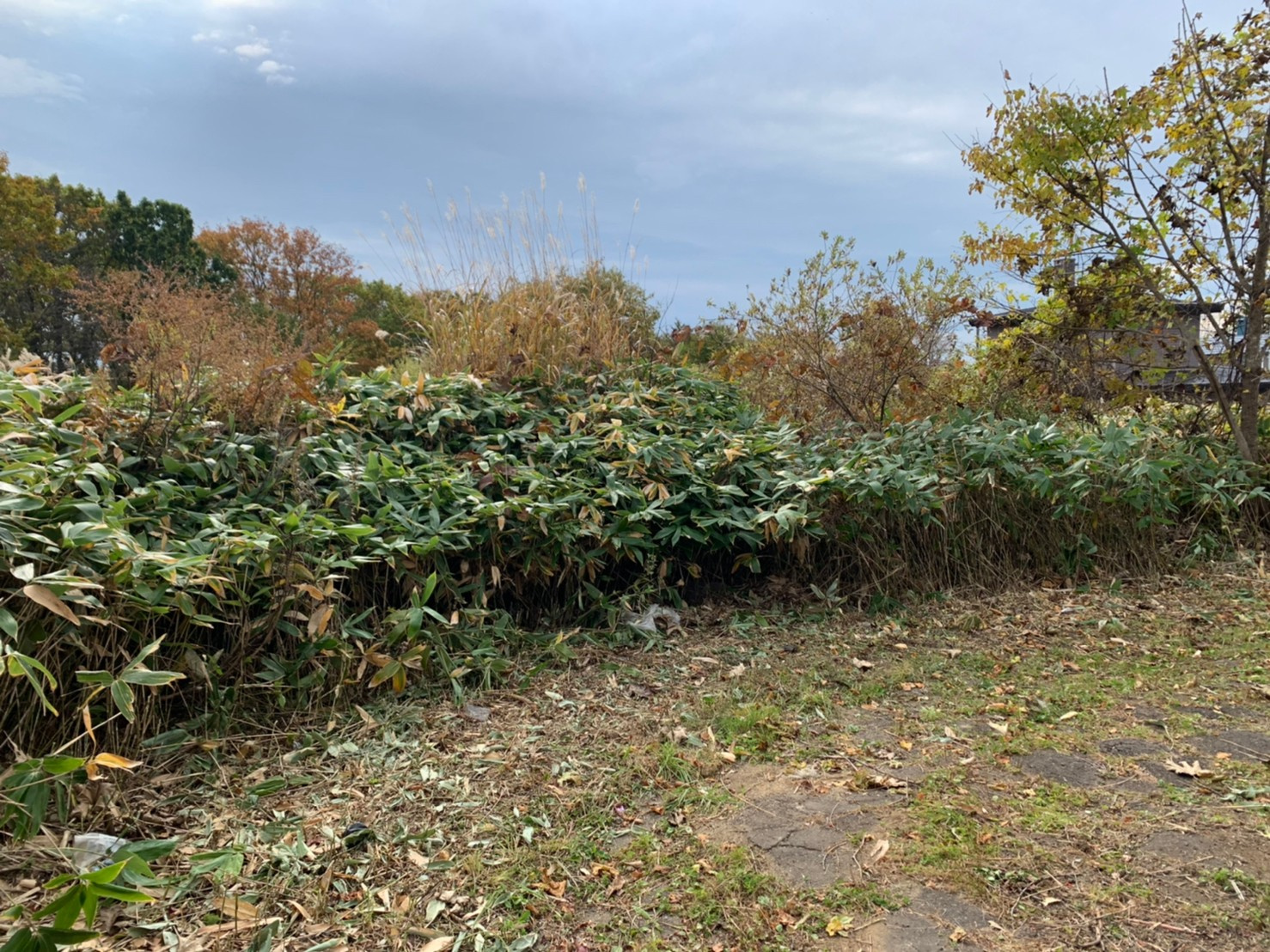 室蘭市本輪西町５丁目479-4　土地の土地図