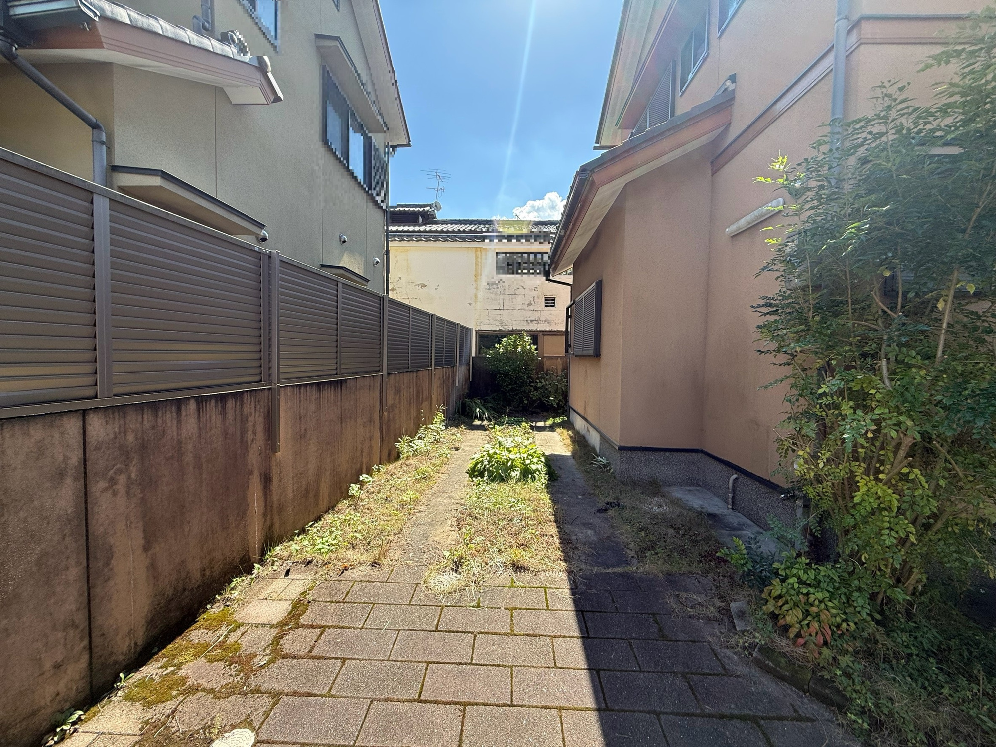上賀茂岡本町戸建の庭