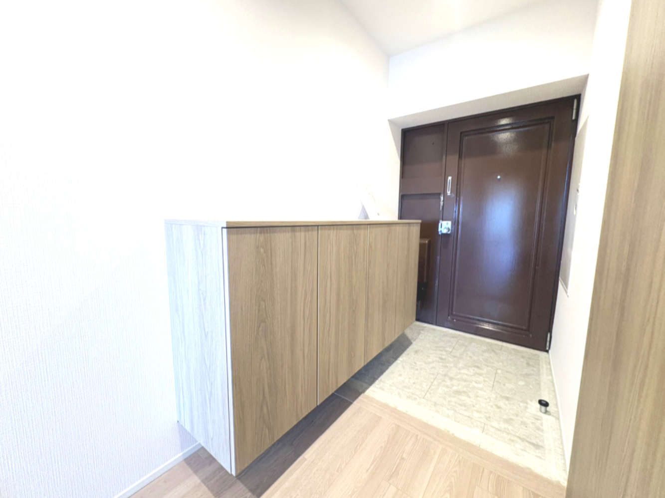 日商岩井高槻マンションの玄関|収納豊富な玄関です。
