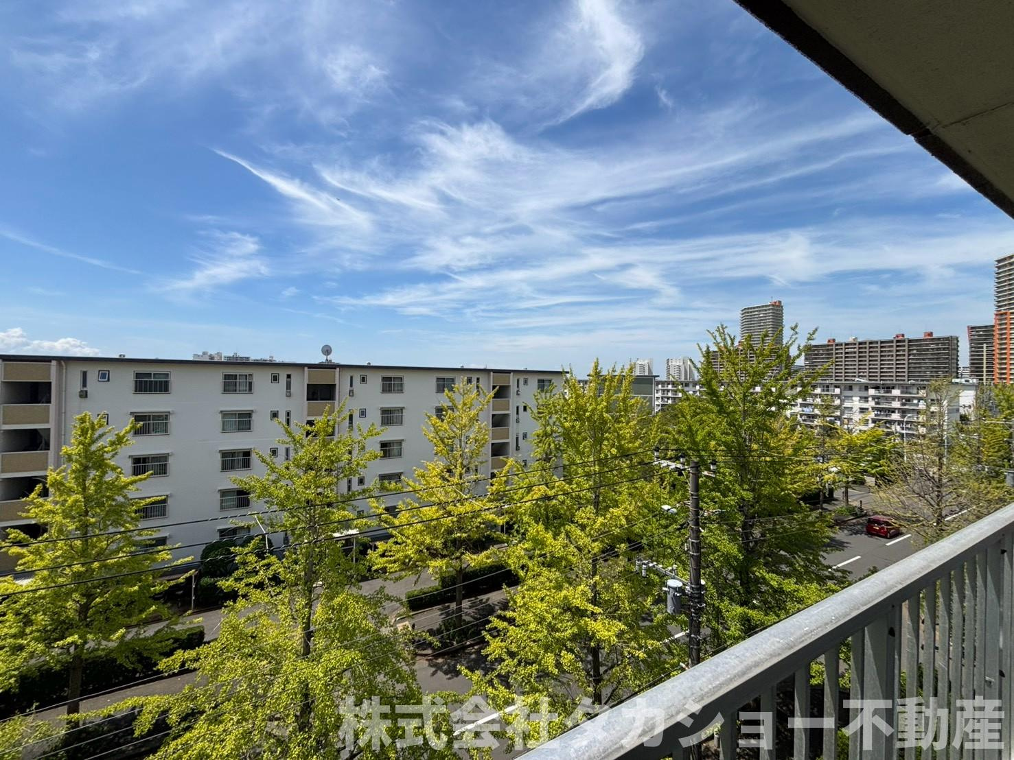 高洲二丁目住宅7番　11号棟の展望