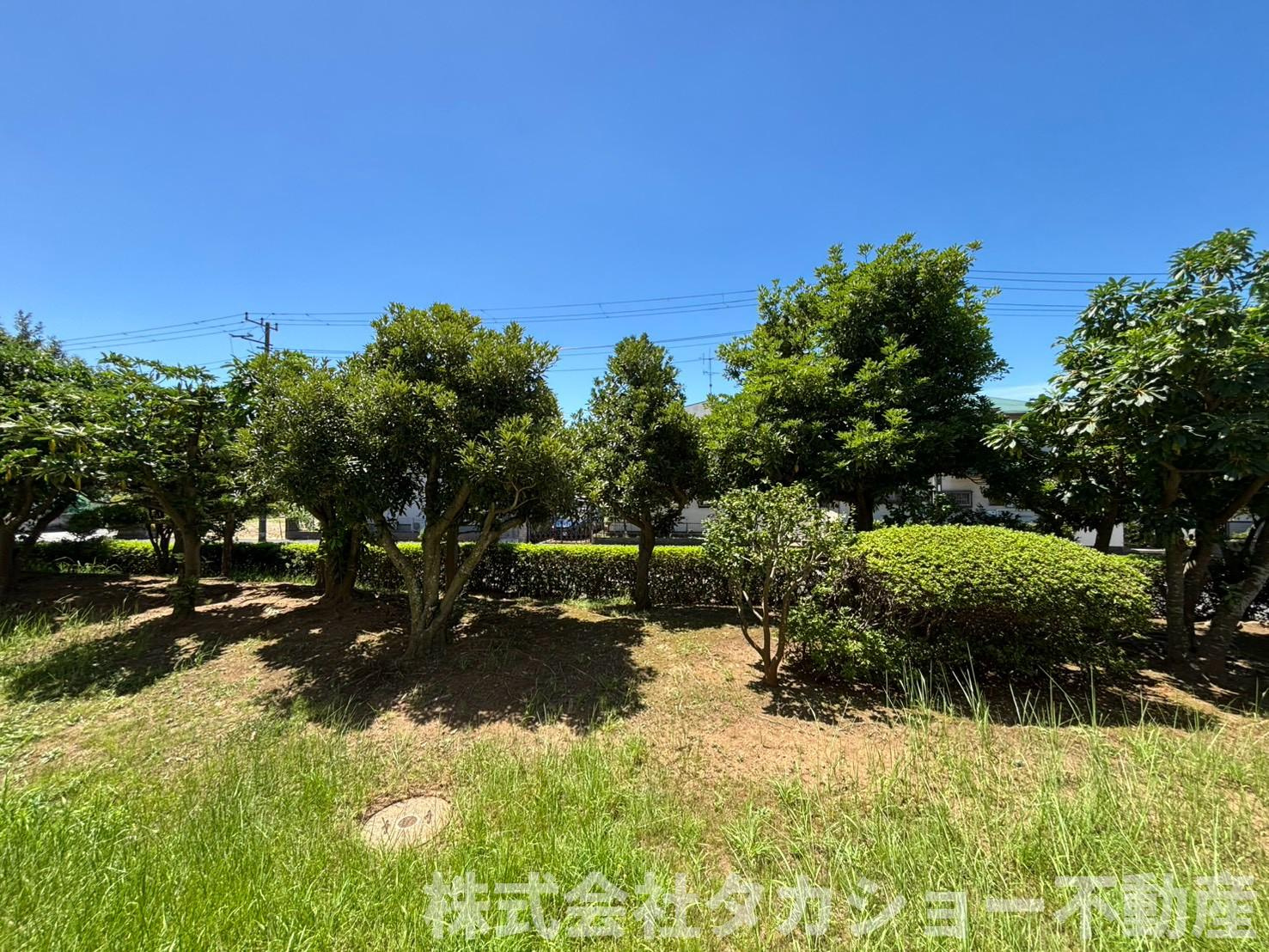 磯辺第一住宅団地　19号棟の展望