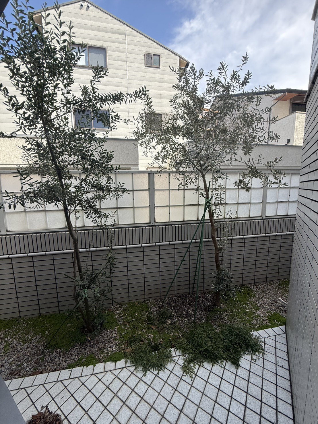 エルザ京都御所西のその他|専用庭・テラス部分です。