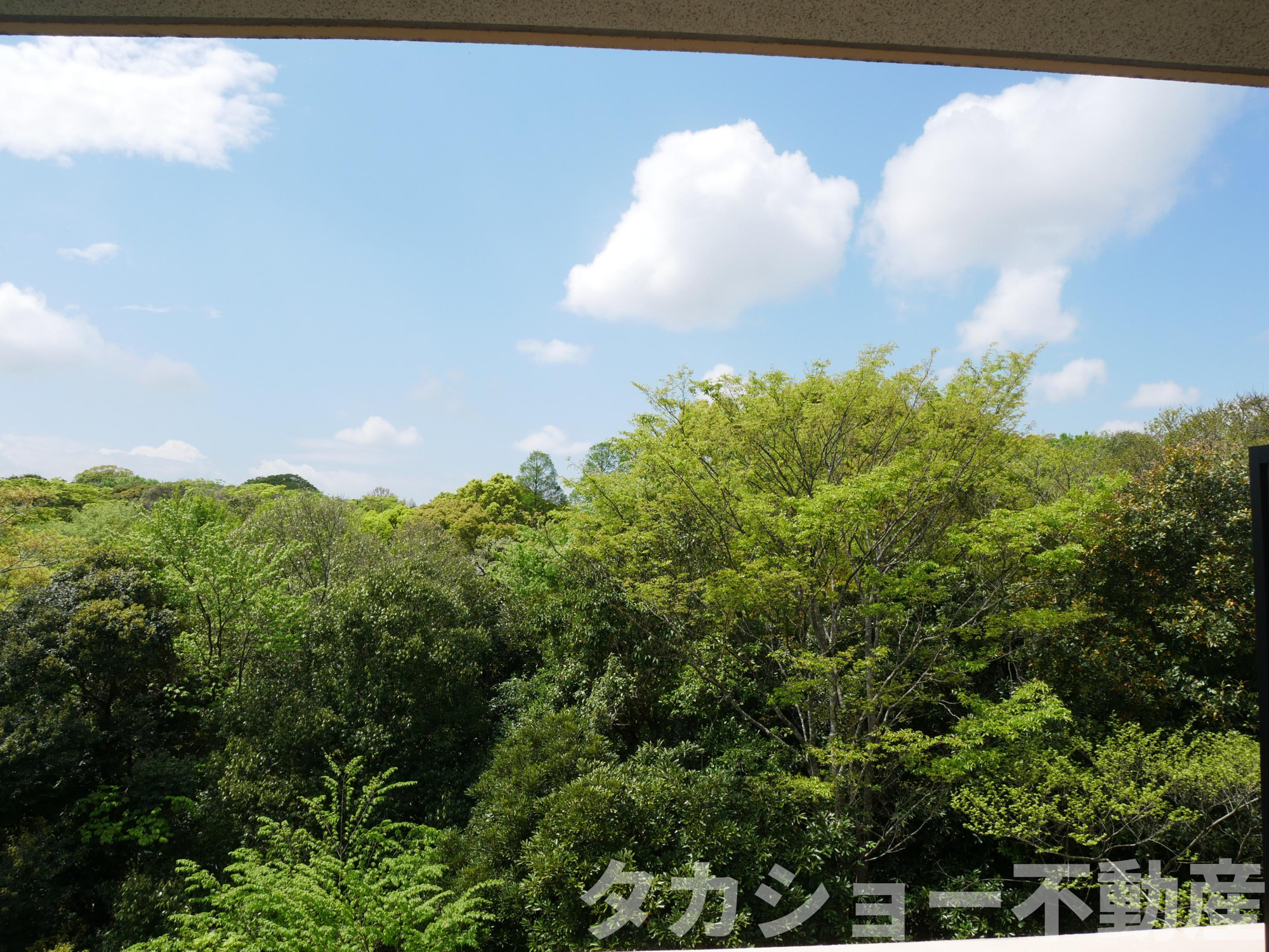 ローズガーデン千葉東の展望