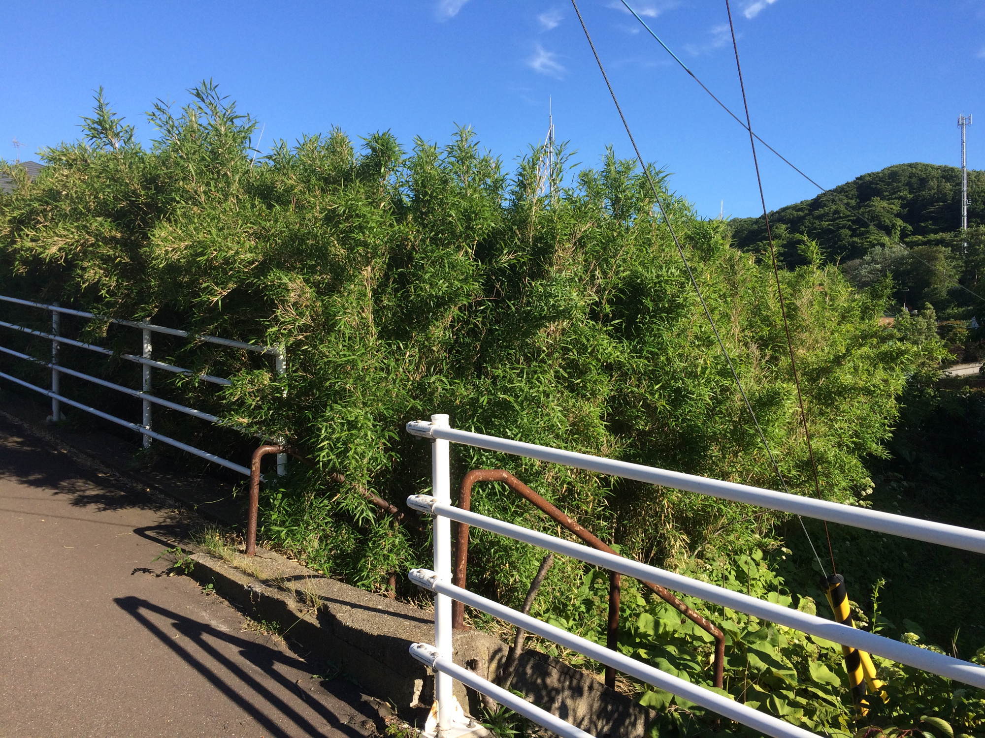 室蘭市絵鞆町1丁目13-15　土地の土地図